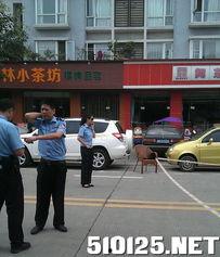 新都一中最新爆料事件,揭秘校园事件背后的真相 第3张 新都一中最新爆料事件,揭秘校园事件背后的真相 第3张